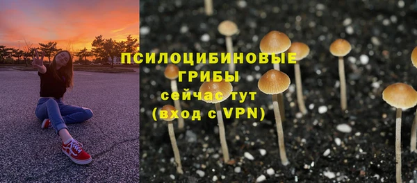 а пвп мука Сатка