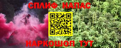 прущие грибы Заводоуковск