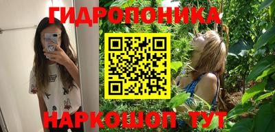 СК Апшеронск