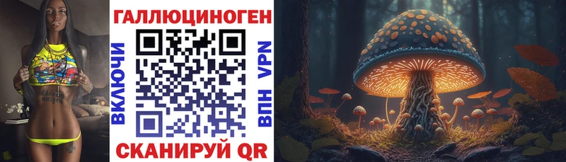 Псилоцибиновые грибы Psilocybe  наркошоп  Бирск 
