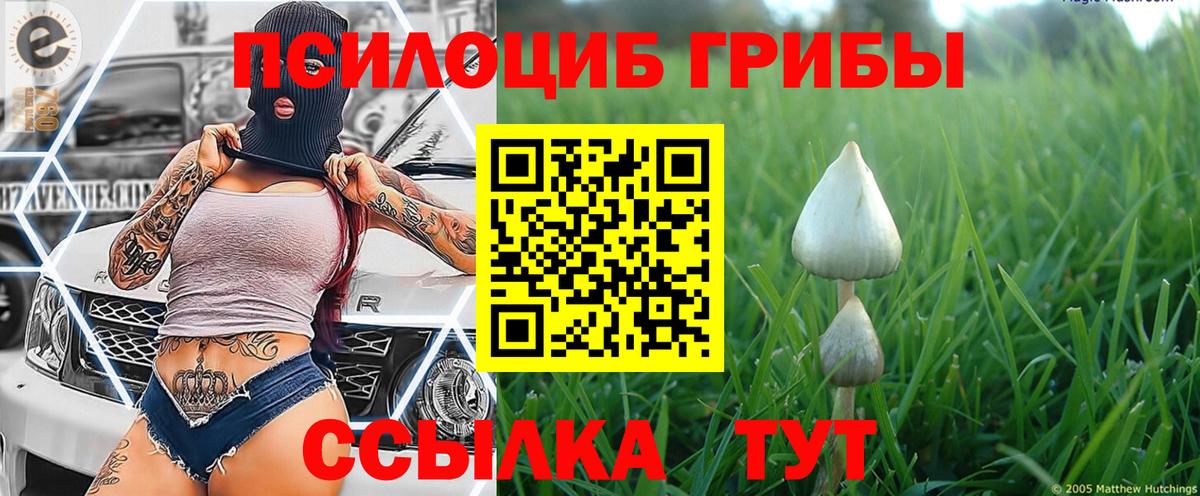 Псилоцибиновые грибы ЛСД  наркотики  Псилоцибиновые грибы прущие грибы  Бирск 