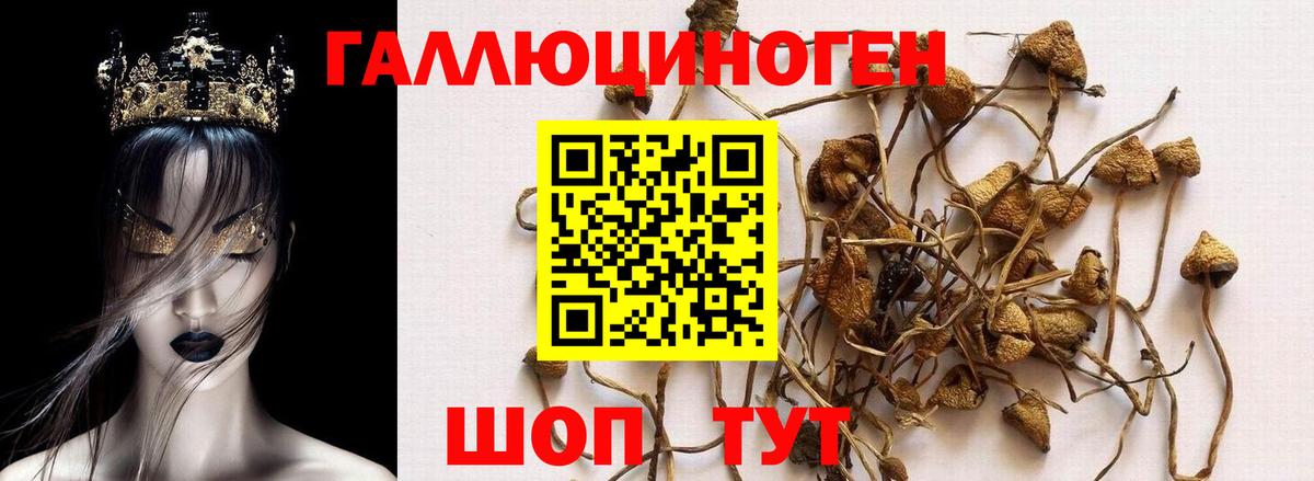 Псилоцибиновые грибы прущие грибы Бирск